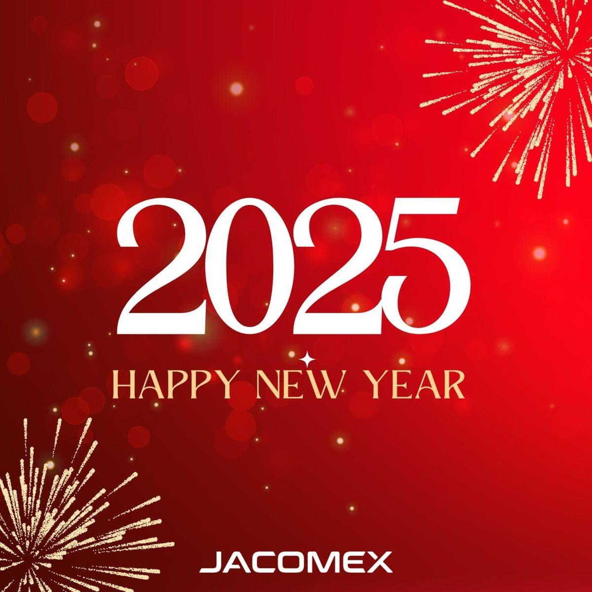 Happy New Year 2025!